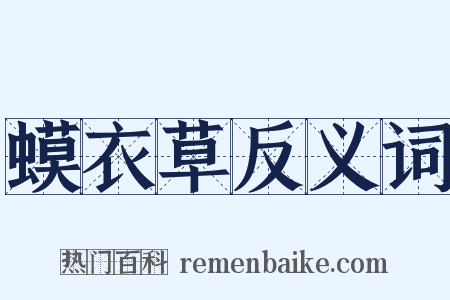 蟆衣草反义词是什么意思的图片